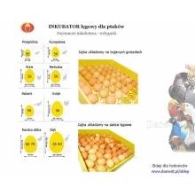 pojemność inkubatora - ile jaj mieści