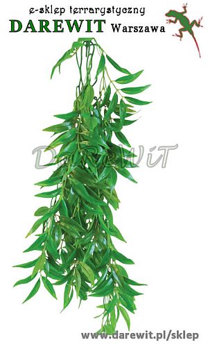 Fikus fikus longifolia Terra Plant - sztuczne rośliny do terrarium