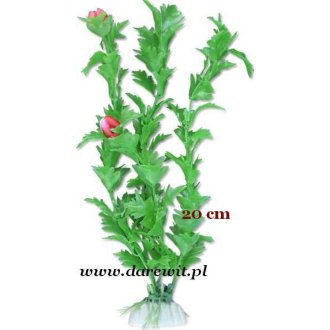 Roślina zielona do terrarium tropikalnego 20cm 2B/42z