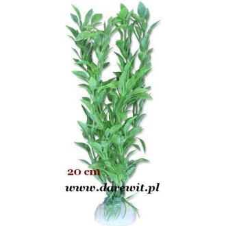 Roślina zielona liście podłużne 20cm 2B/48z