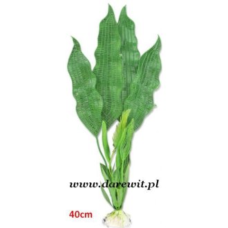 Roślina zielona z dużymi liśćmi 40cm 4B/58z
