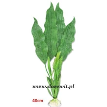  Roślina zielona z dużymi liściami do terrarium