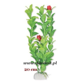 Roślina zielona z kwiatkiem 20cm 2B/31z