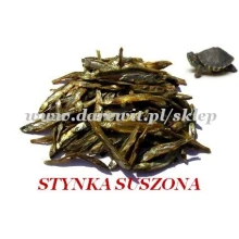 pokarm dla żółwi wodno-lądowych