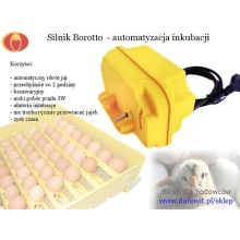 AUTOMATYCZNY OBRÓT JAJ W INKUBATORZE