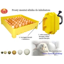 JAK ZAMONTOWAĆ SILNIK DO OBRCANIA JAJ
