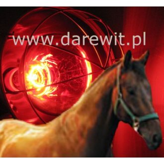 Solarium dla koni - Żarówka - promiennik PAR INFRARED LAMP czerwony, moc 175W