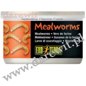 Mączniki 34g Mealworms EXO TERRA pokarm