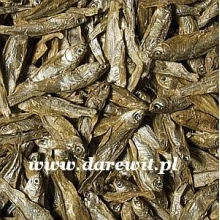 suszony-ryby-dla-zolwia-wodno-ladowego-dried-fish