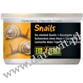 ślimaki dla żółwia Snails 34g EXO TERRA