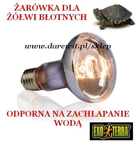 żarówka dla żółwia wodnego Swamp spot 50W - sklep darewit