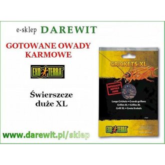 Świerszcze duże gotowane CRICKETS XL 15g pokarm EXO TERRA 