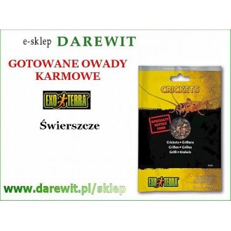 Świerszcze gotowane CRICKETS 15g pokarm EXO TERRA 