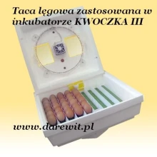 inkubator-kwoczka3-darewit
