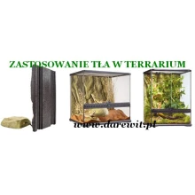 montaż tła w terrarium