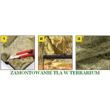 dopasowanie tła do terrarium