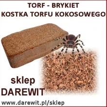 9l-podloza-do-terrarium-ptasznika