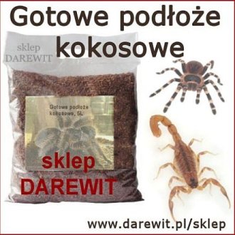 TORF KOKOSOWY torba 5 litrów gotowe podłoże dla ptasznika