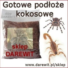 czysty-torf-kokosowy-do-terrarium -podloze