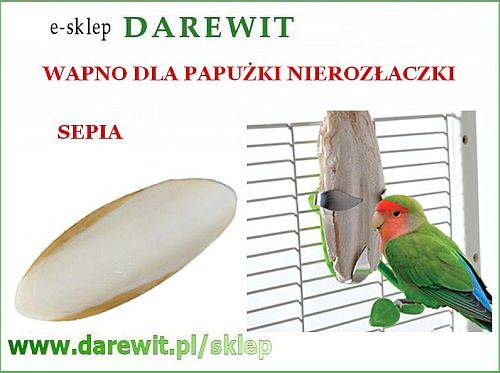 Naturalne wapno dla papug Nierozłączek