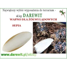 Sepia wapń dla żółwia lądowego