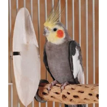 Ossa sepii 2 szt. dla ptaków