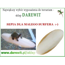 Sepia bogata w wapno dla żółwia wodnego