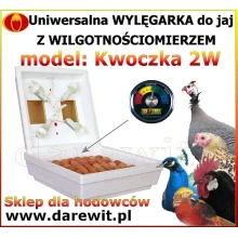  Uniwersalna Kwoczka 2W wylęgarka jaj + wilgotnościomierz inkubator