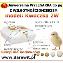 Super skuteczny klujnik kurczaków