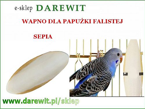 Sepia dla papużki falistej