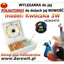 wYLĘGARNIK - KLUJNIK drobiu - doskonała Kwoczka