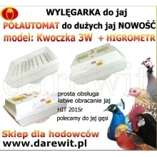Domowy, mały inkubator jaj ptaków