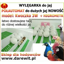 Wylągaj różne ptaki z gospodarstwa