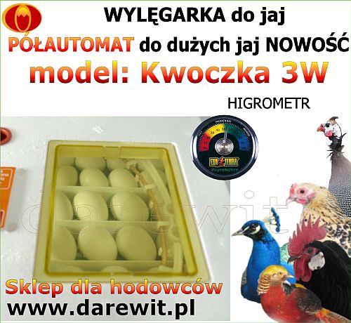 wylęgarka do jaj i okienka kontrolne - darewit.pl