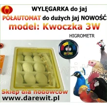 Podglądanie inkubacji przez okienka inkubatora