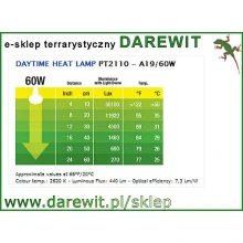 Temperatura-z-zarowek-Exo-Terra-gadom Temperatura-z-zarowek-Exo-Terra-gadom