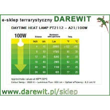 TAVELA-GRZANIA-GADOW-W-TERRARIUM