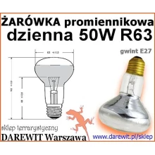 Terrarium Ciepło na dzień z żarówki