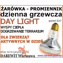 Ogrzej wybieg gadom w dzień