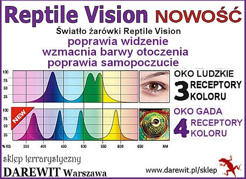 receptory gadów Reptile vision exo terra - darewit sklep