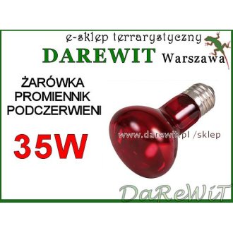 żarówka grzewcza nocna Trixie 35W terrarium - sklep darewit