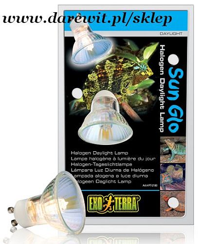 Sun Glo Halogen Daylight do terrarium gadom, darewit sklep terrarystyczny