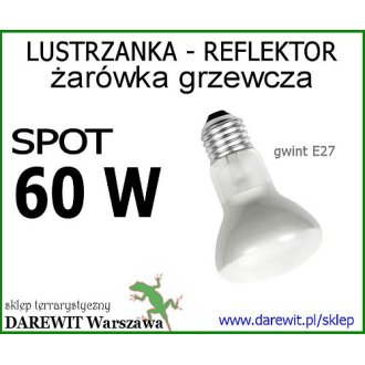 Dzienny Spot 60W E27 R63, ŻARÓWKA GRZEWCZA, REFLEKTOR terrarium