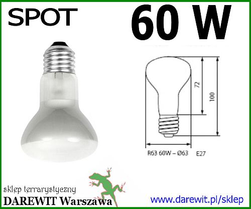 żarówka do terrarium SPOT 40W - sklep darewit Warszawa