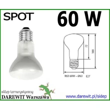 żarówka spot 60W  dzienna terrarium - sklep darewit