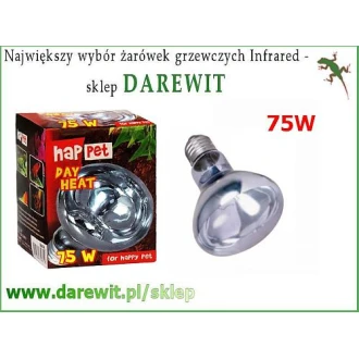 zarowka-grzewcza-dzienna-75W-do-terrarium