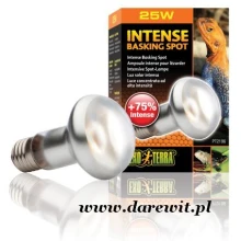 Exo Terra Intense BS 25W