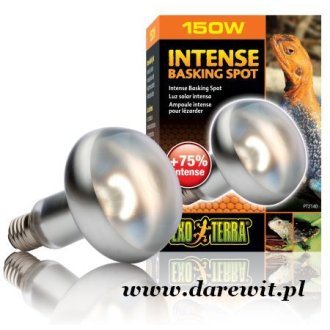 Żarówka grzewcza dzienna Intense Basking Spot Lamp 150W EXO-TERRA PT2140 /SUN-GLO Tight Beam/