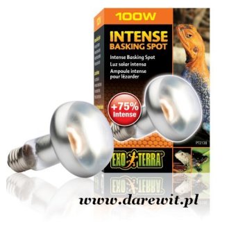 Żarówka grzewcza dzienna Intense Basking Spot Lamp 100W EXO-TERRA PT2138 SUN-GLO Tight Beam