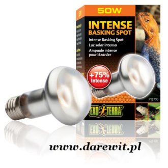 Żarówka grzewcza 50W Intense Basking Spot Exo Terra PT2135 dzienna